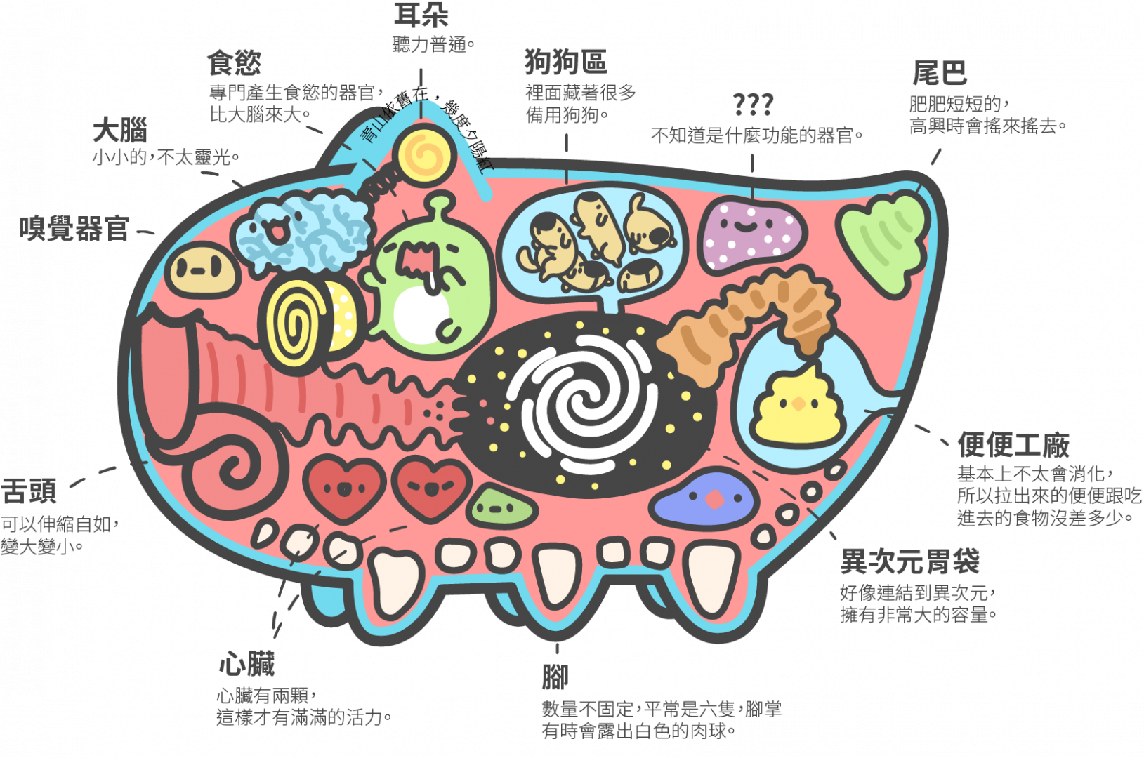 貓貓蟲咖波解剖圖